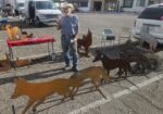 Custom Metal Yard Art