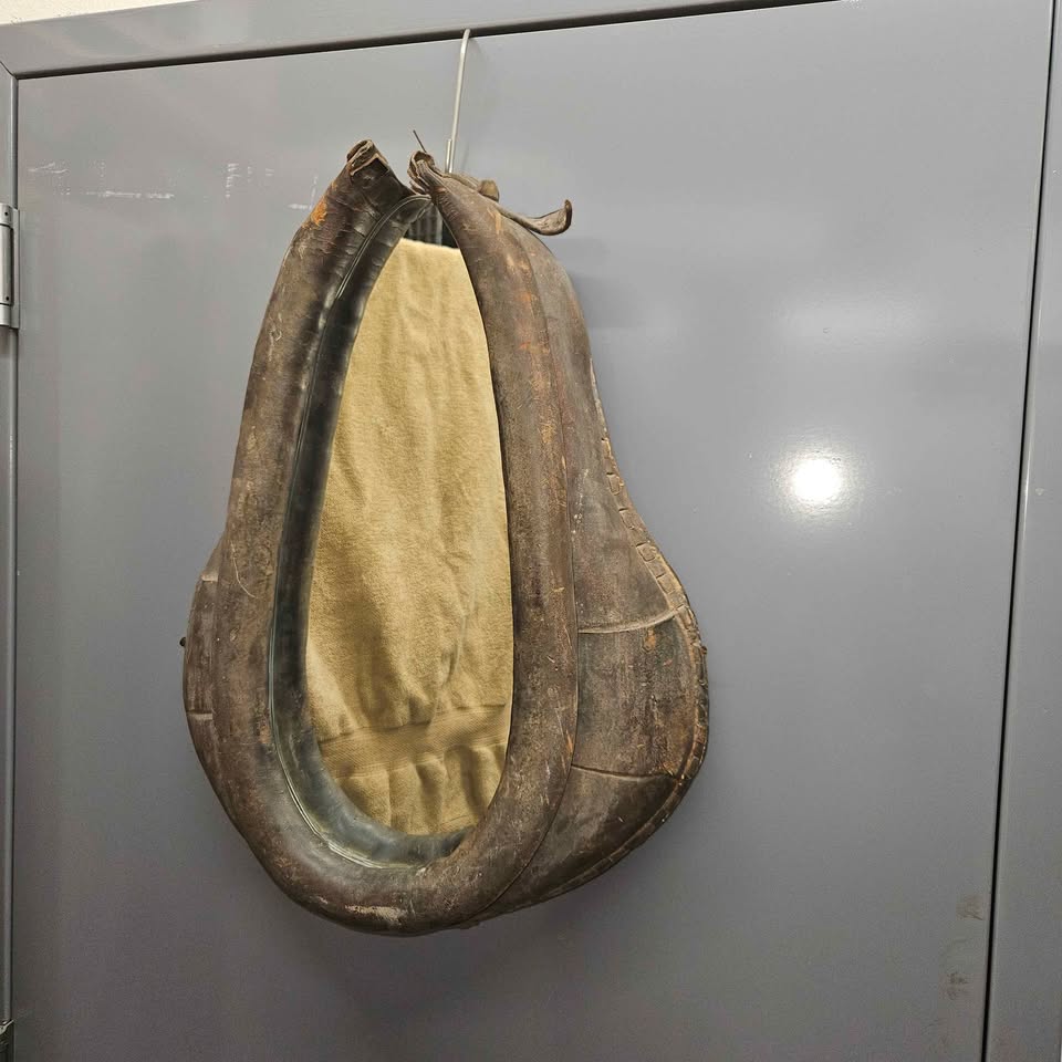 Horse Collar Mirror