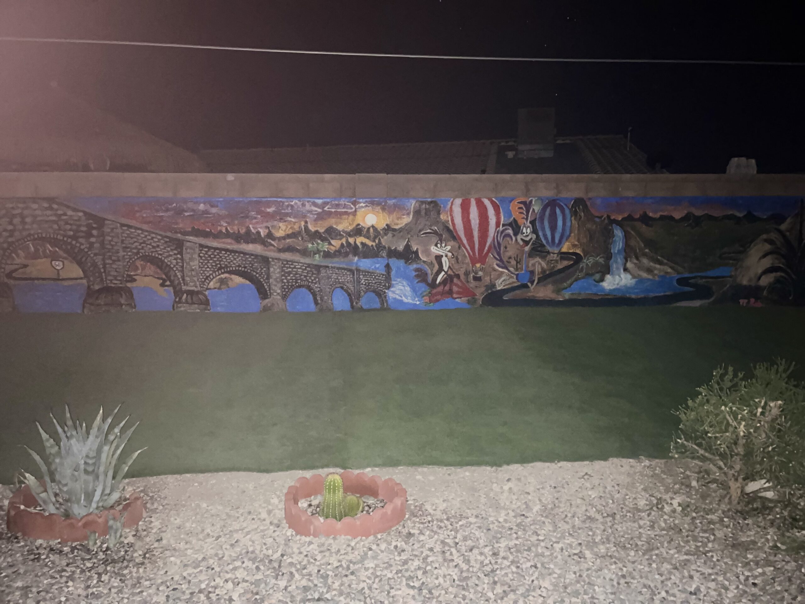 Custom murals